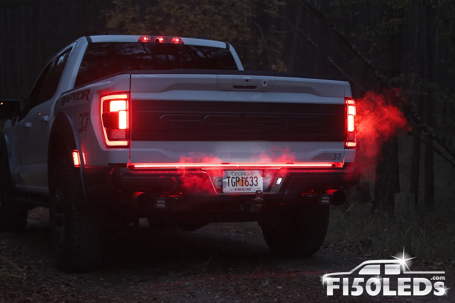 2015 - 2020 F150 Sentinel CREE LED Tailgate Bar