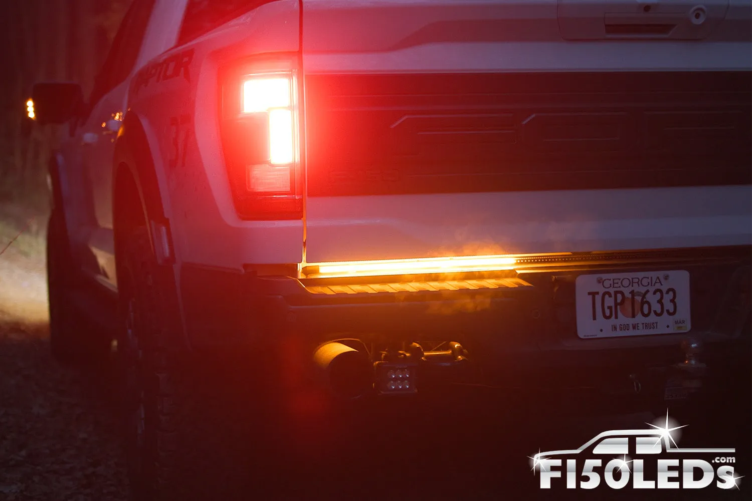 2015 - 2020 F150 Sentinel CREE LED Tailgate Bar