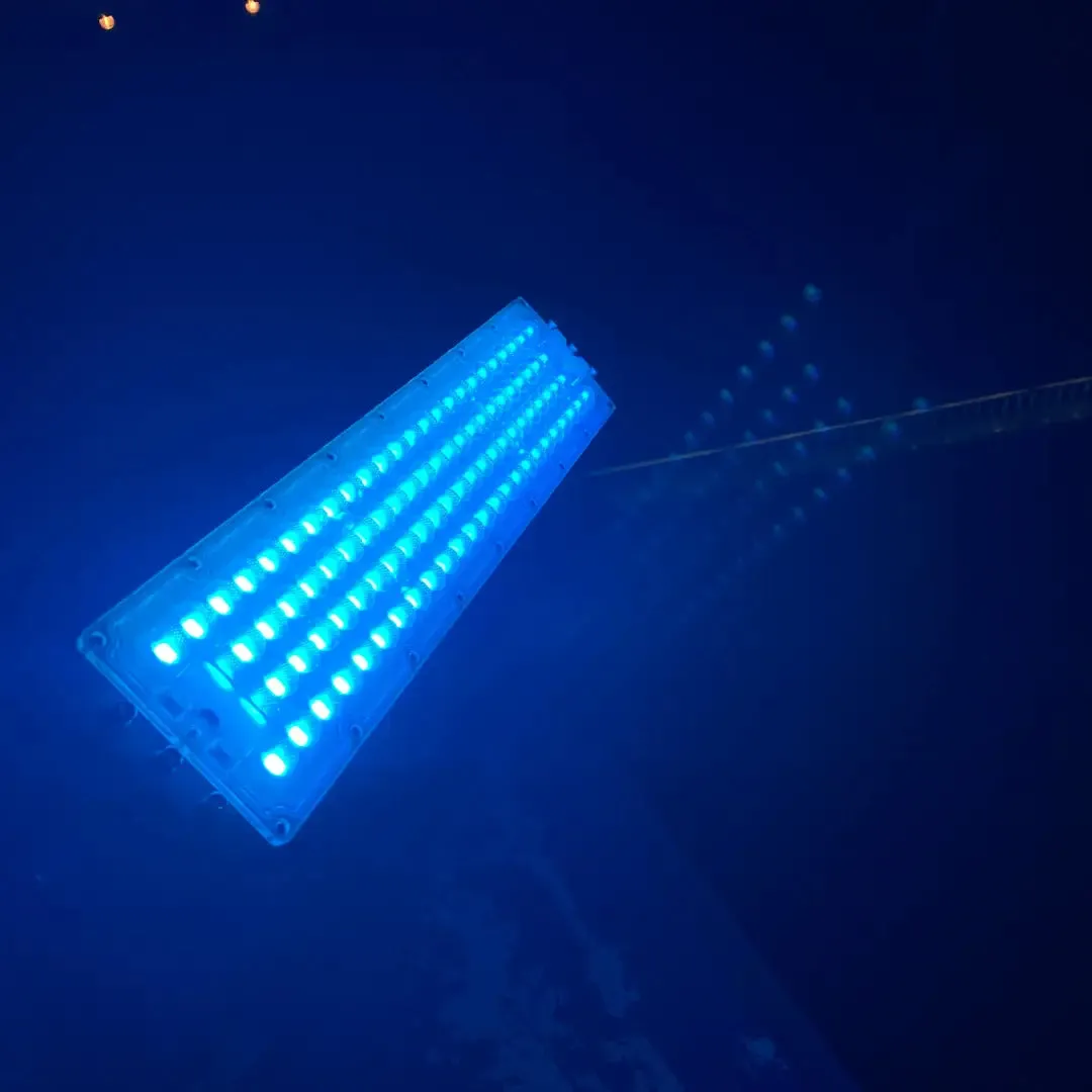 50w Cyan Floodlight with 36V Transformer