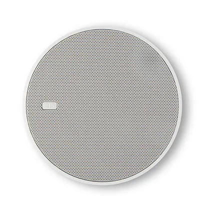 5" In Ceiling Speaker