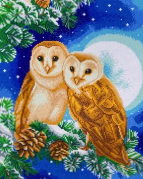 CAK-A122L: "Moonlight Perch" 40x50cm Crystal Art Kit