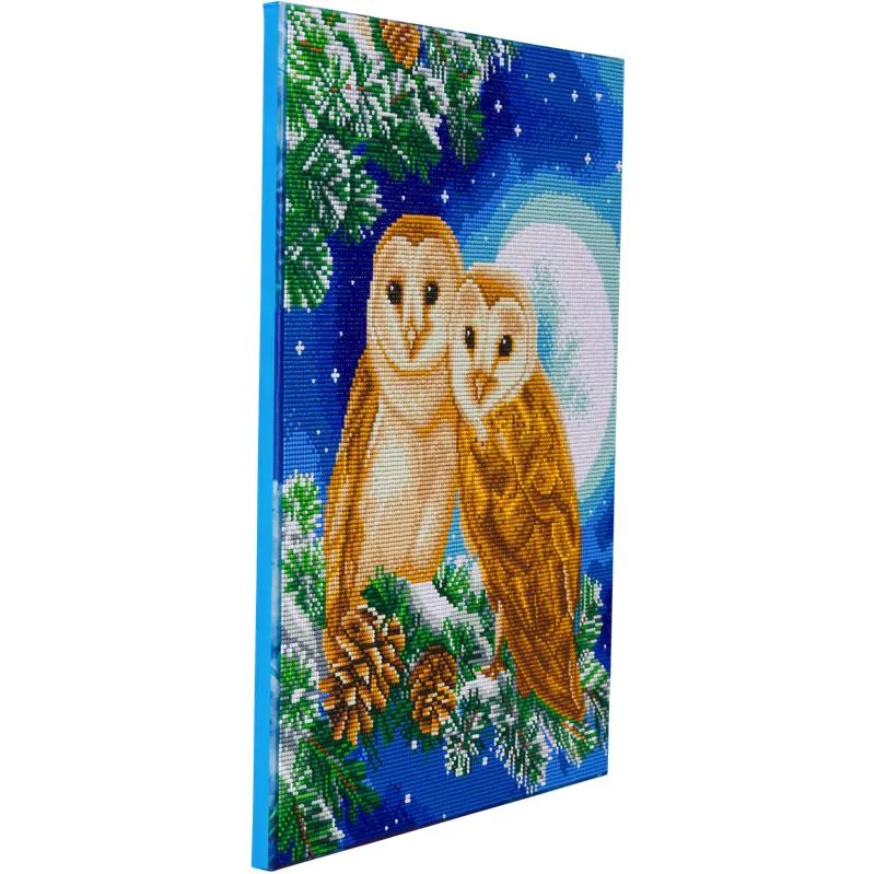 CAK-A122L: "Moonlight Perch" 40x50cm Crystal Art Kit