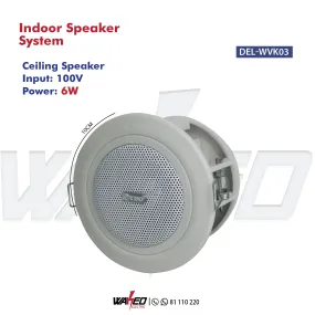 Ceiling Speaker (Indoor)