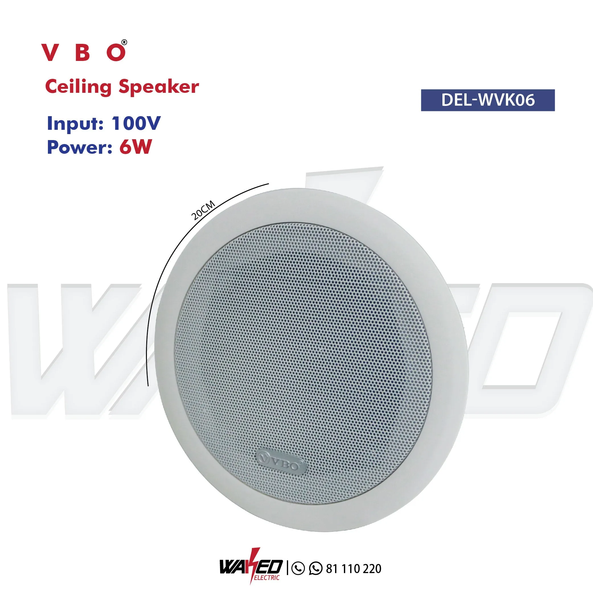 Ceiling Speaker