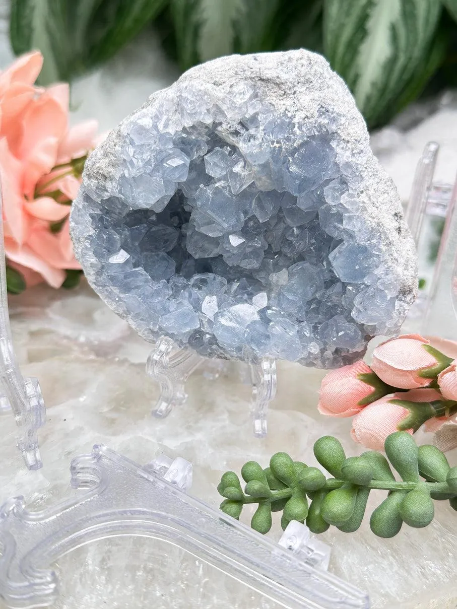 Clear Plastic Easel Stand