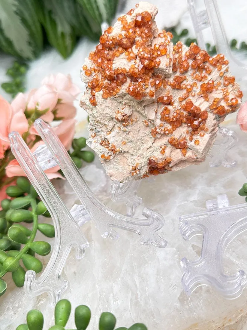 Clear Plastic Easel Stand
