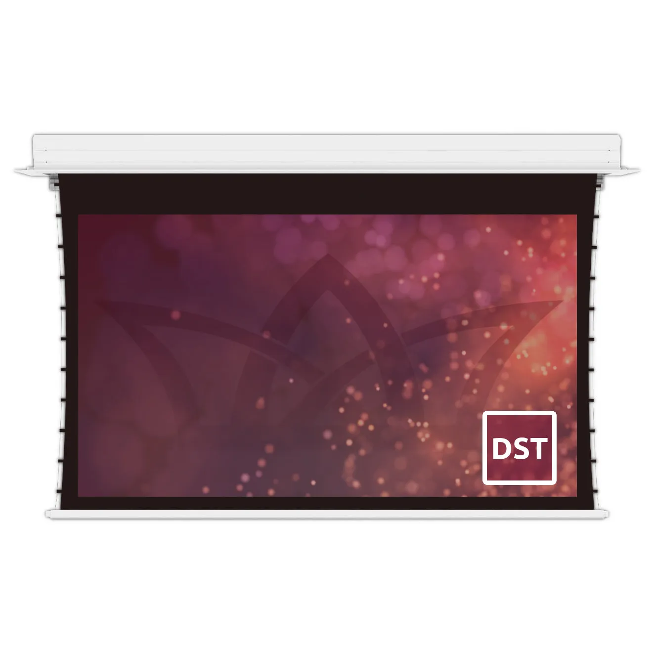 Deluxe In-Ceiling Electric Series Tab-Tension 16:9 175" Rear Projection