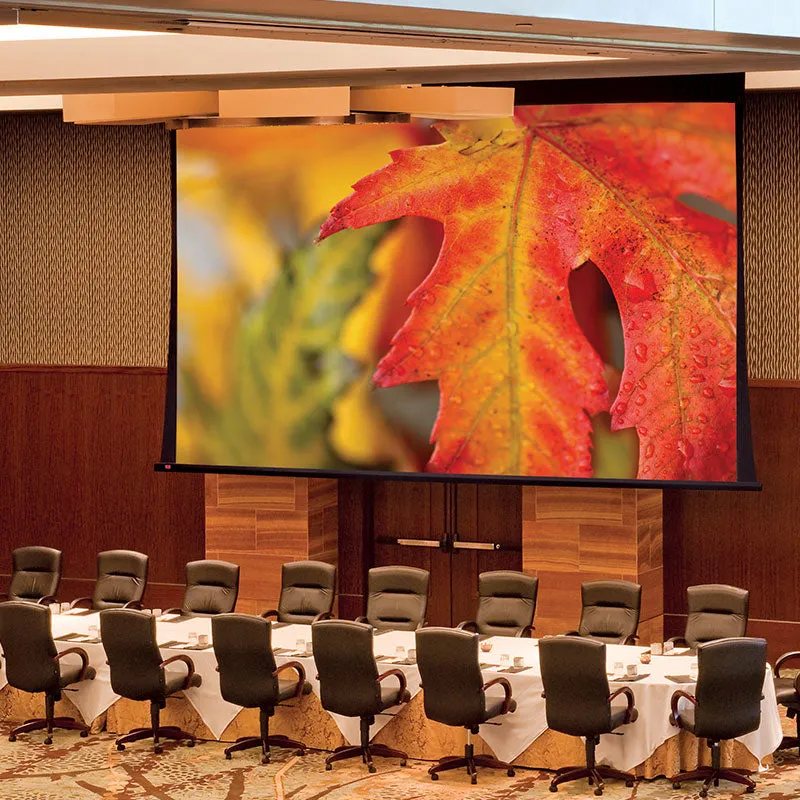 Draper Paragon V [NTSC 4:3] Electric Retractable Projection Screen 250" (148" x 198") 114608CB