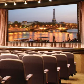 Draper Paragon V [NTSC 4:3] Electric Retractable Projection Screen 250" (148" x 198") 114608CB