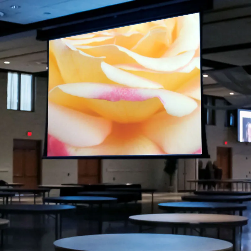 Draper Paragon V [NTSC 4:3] Electric Retractable Projection Screen 250" (148" x 198") 114608CB