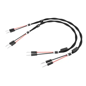 Esprit Aura Speaker Cable
