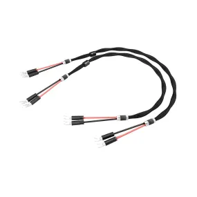 Esprit Celesta Speaker Cable