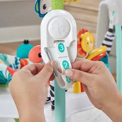 Fisher-Price Jumping Jungle Jumperoo Baby Jumper with Lights and Sound