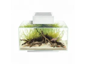 Fluval Edge Aquarium Set 2.0 23L - Gloss White