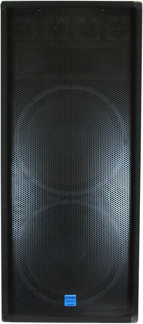 Gemini GSM-3250 Full Range Passive Speaker