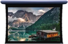 Stewart Filmscreen Cabaret Retractable, BC 125" (48x115.5) Cinemascope [2.40:1] CAB125CST10